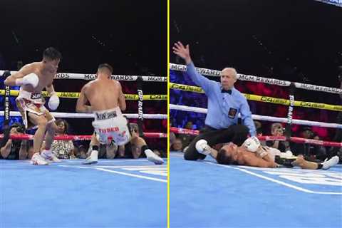 Ringside footage emerges of Junto Nakatani’s amazing one-punch KO of Andrew Moloney on Devin Haney..