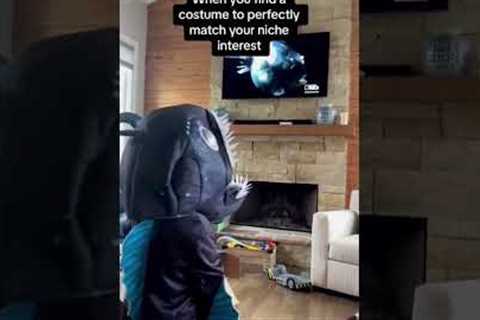 Kid dressed up as angler fish sees angler fish on TV #shorts