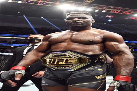 Ex-UFC champ Francis Ngannou in talks to fight Tyson Fury’s heavyweight rival as he gives update on ..