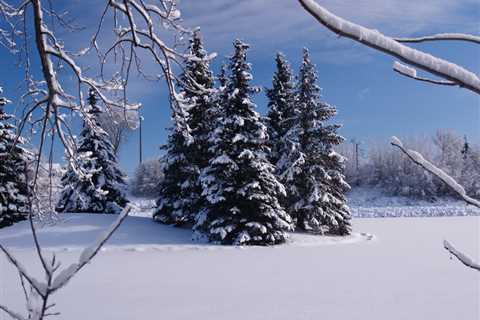 Lake Louise Turns Into a Winter Wonderland