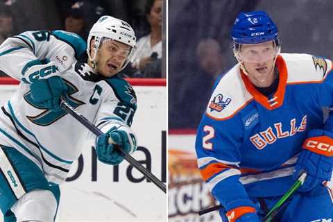 Ducks acquire Agozzino, Sharks get Sustr | TheAHL.com