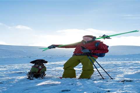 Skiing and Ski Touring With Dogs