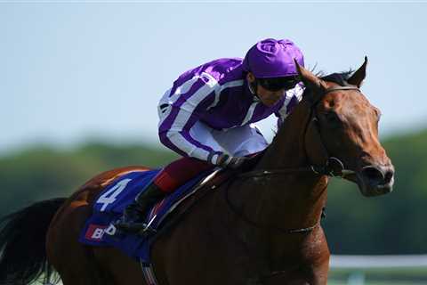 Can Little Big Bear roar back in the July Cup plus all my super Saturday best bets