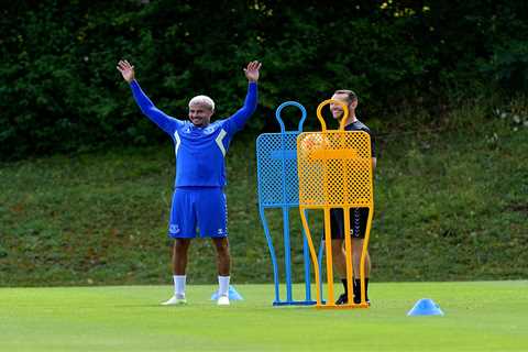 Brave Dele Alli pictured in Everton training for first time since heartbreaking interview about..