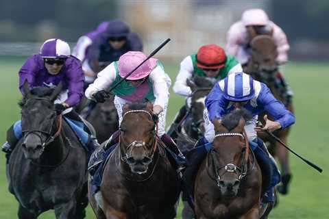 Outrage over ‘utterly disgraceful’ rule as King George winner Jim Crowley set for 20-day ban