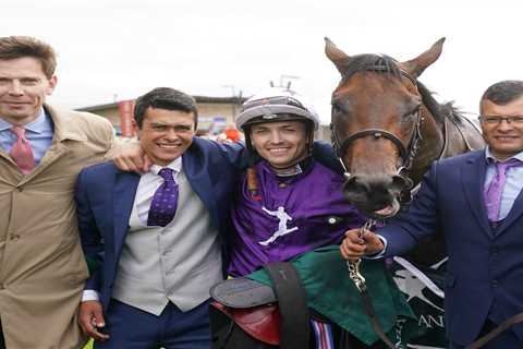 'Horse of a lifetime' romps to victory thanks to trainer's shrewd sourcing