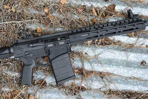 Best Beginner AR-10 Rifles :: Guns.com