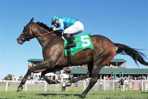 Harlan Estate Gives Beckman First Stakes Win In FanDuel Tapit At Kentucky Downs – Horse Racing News