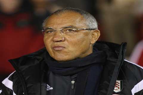 Former Fulham Boss Felix Magath Throws Hat in the Ring for Germany Job