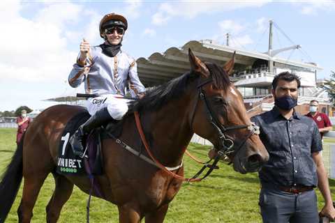 Ayr Gold Cup: The Ultimate Guide to the Runners and Riders