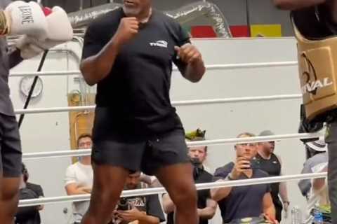 Mike Tyson Trains Francis Ngannou for Tyson Fury Fight after Blunt Response to Gypsy King