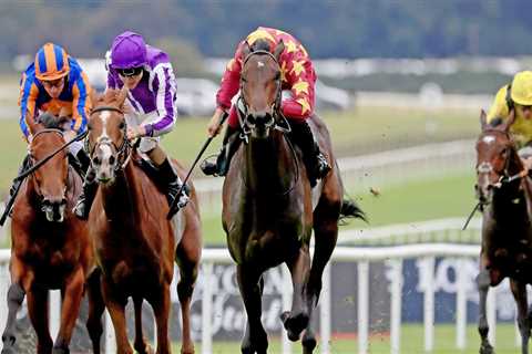 All eyes on Al Riffa for delayed reappearance at the Curragh