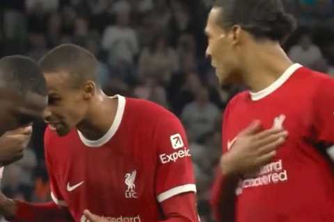 (Video) Liverpool fans will love Virgil van Dijk’s passion during Spurs clash