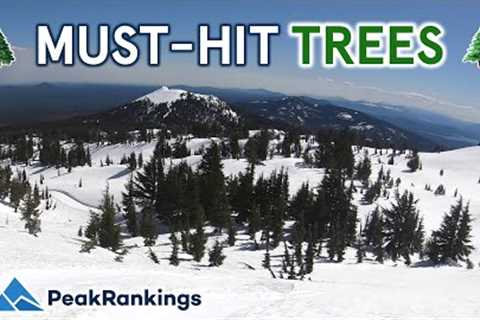 Most UNREAL Resorts for Tree Skiing