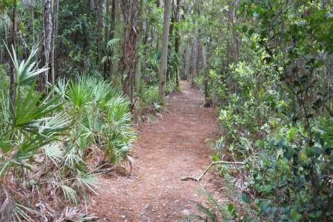 Exploring the Trails of Palm Beach County, Florida