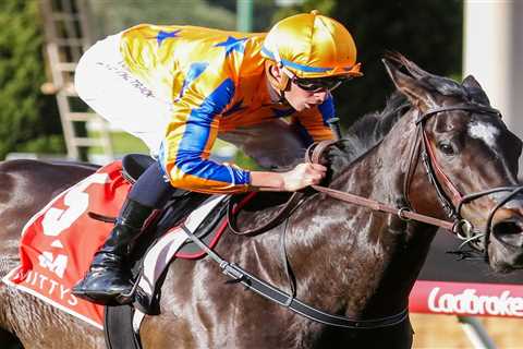 Imperatriz Leads 2023 Ladbrokes Manikato Stakes Field & Odds