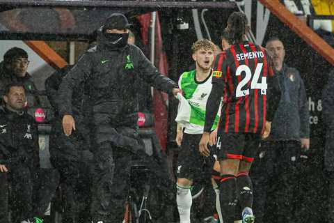 Bournemouth 1 Liverpool 2: The Review