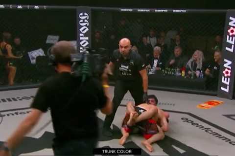 MMA Referee Gets Stuck in the Cage During Fight, Leaves Fans in Hysterics