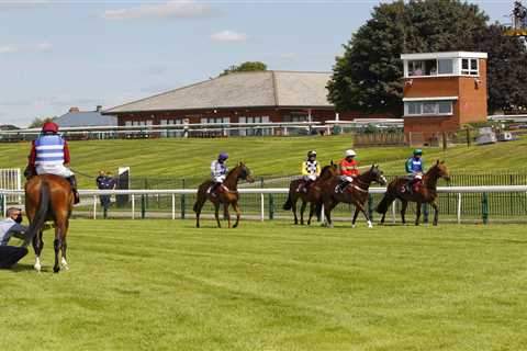 Huge row over state of ‘frozen’ ground at Bangor as trainers withdraw runners but track say it’s..