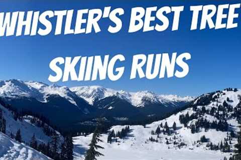 The Best Tree Skiing Runs On Whistler