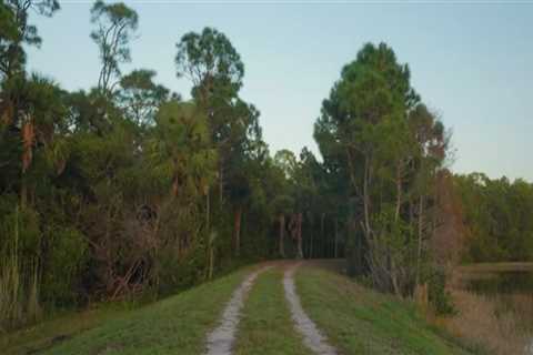 Exploring the Magnificent Bike Paths of Palm Beach County, Florida