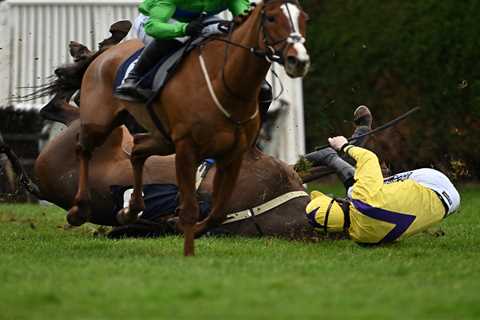 Photos capture moment jockey rushes to friend’s aid on day of chaos and biting at Hereford races
