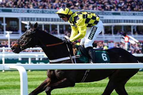 Shishkin's Challenge: Can he Take on Galopin Des Champs in the Gold Cup?