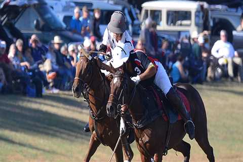 The Best Polo Events in Aiken, South Carolina