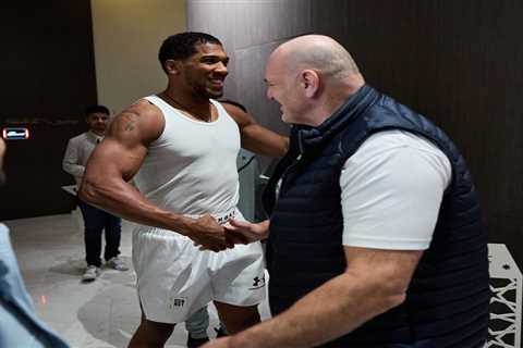 Fans Praise Anthony Joshua as Classy Star Meets Tyson Fury's Dad Before Fight