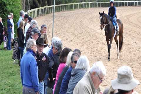 Experience the Thrill of Aiken Horse Trials in South Carolina