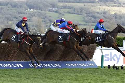 Cheltenham Festival 2024: Handicap Steeple Chase Day 1 Results Revealed