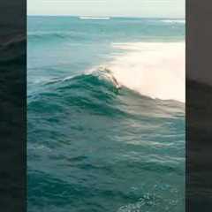 Drone Shot - Only 2 BRAVE Surfers at Haleiwa 5-7 foot swell