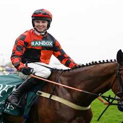 Which Female Horses Have Won the Grand National?