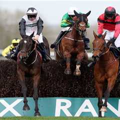 Cruz Control wins Handicap Chase at Aintree Grand National Day