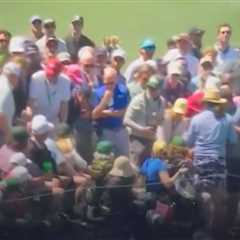 Tiger Woods appears to hit unfortunate fan on the head with wayward shot through trees on the way..
