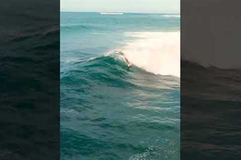 Drone Shot - Only 2 BRAVE Surfers at Haleiwa 5-7 foot swell