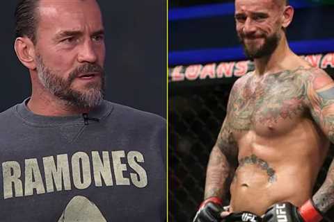 CM Punk has expletive six-word response when asked about UFC run