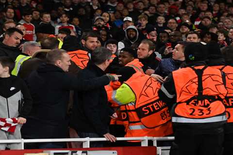 Arsenal Stewards Clash with Bayern Munich Fans Despite Ban from Emirates