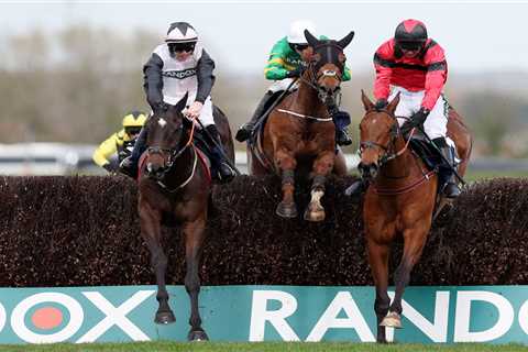 Cruz Control wins Handicap Chase at Aintree Grand National Day