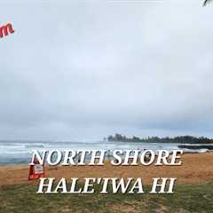 Surf Capital of the World Haleiwa North Shore Live Cam Hawaii | Scenery | The Happsters
