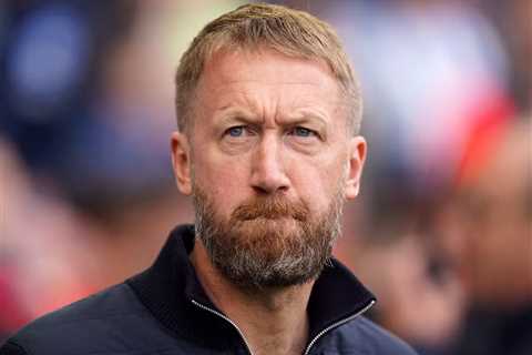 Brighton & Hove Albion are weighing up a decision to bring back Graham Potter