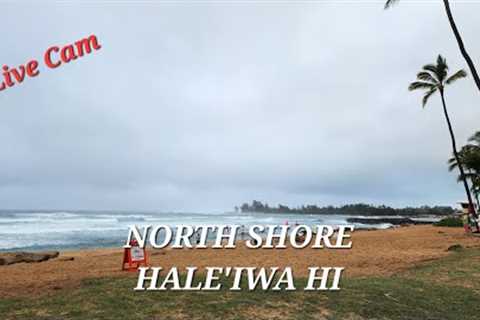 Surf Capital of the World Haleiwa North Shore Live Cam Hawaii | Scenery | The Happsters