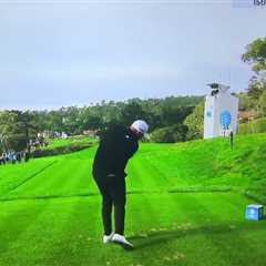 Worrying moment marshal stumbles to ground after Shane Lowry hits him with drive as fans say..