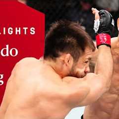 BIZARRE ENDING IN SEATTLE! 😳  Henry Cejduo vs Song Yadong  UFC Fight Night Highlights