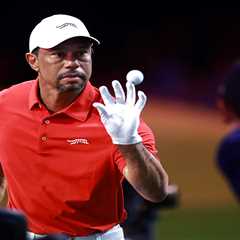 Tiger Woods ‘will not play golf again until Seniors Tour’ claims ESPN analyst after latest injury..