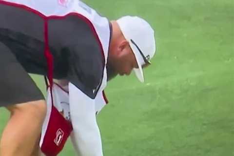 Moment turtle PEES all over golf course as caddie carries it off green in bizarre scenes