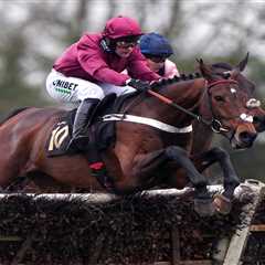 £1.2m Super Horse Palladium Yanked from Henderson's Yard in Shock Move
