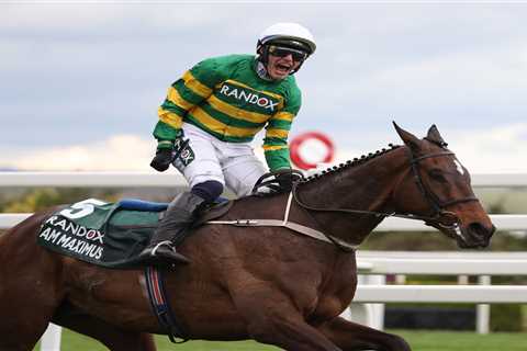 Grab Your Grand National 2025 Sweepstake Kit - Aintree's Million-Pound Showdown Is HERE!
