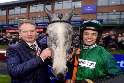 Fairyhouse Frenzy: Your Complete Guide to the 2025 Irish Grand National Runners