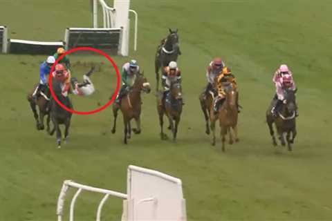 De Boinville Hospitalized After Horrific Plumpton Tumble - Constitution Hill & Jonbon Plans Hang in ..